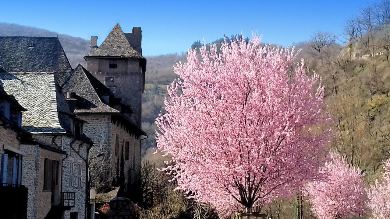 L'Oustalou - Gite Entre Lot Et Truyere Entraygues-sur-Truyère Exterior photo